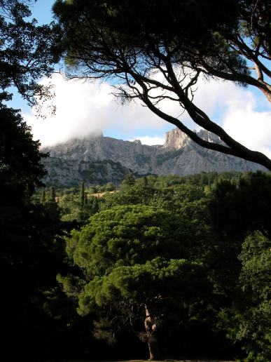 Skaisti skati Krimas kalniem caur kokiem un mākoņiem