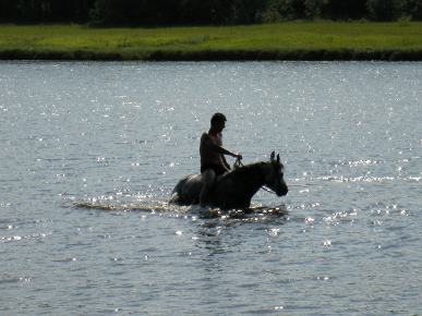 Njeriu në një kalë në ujë