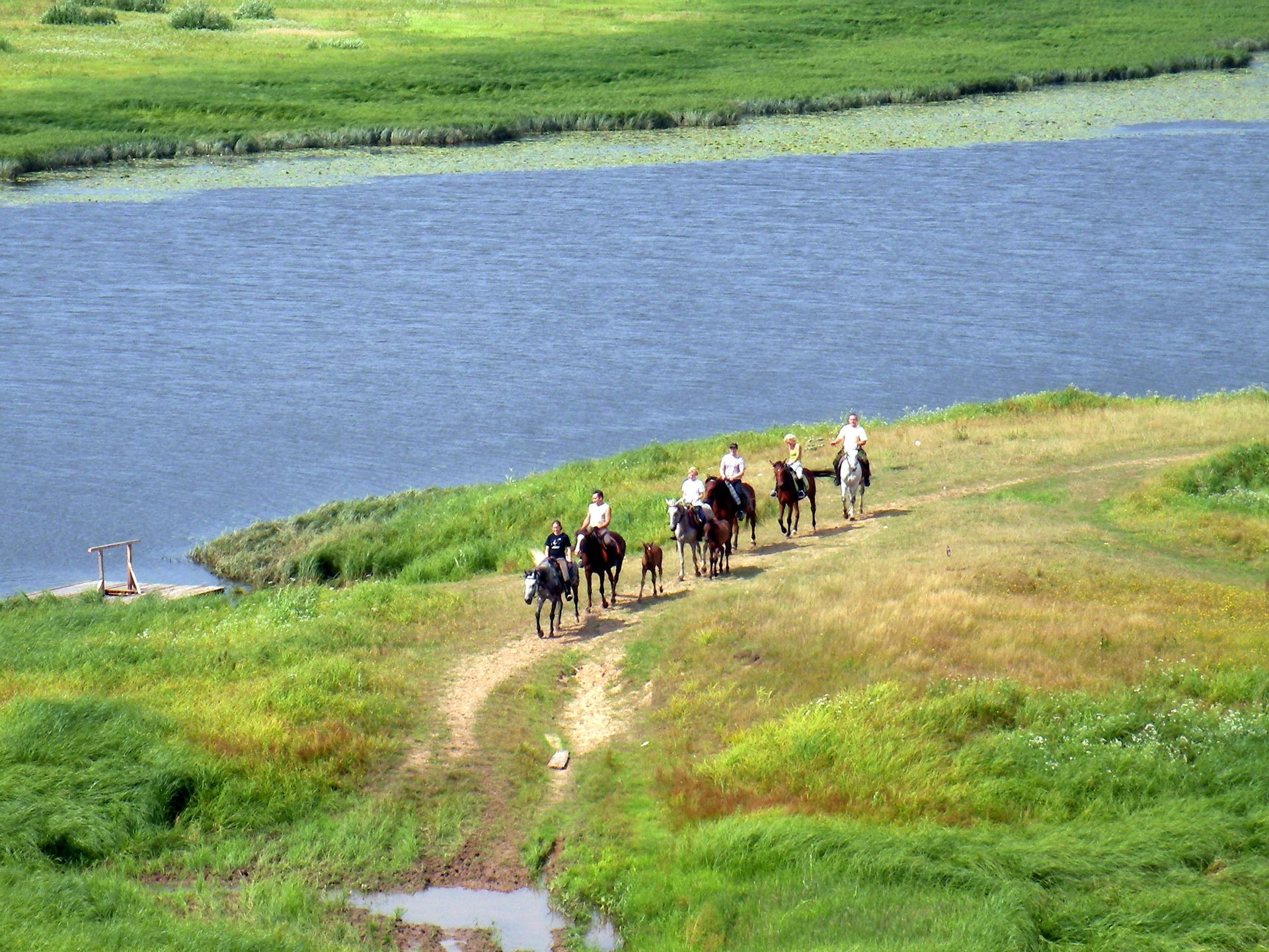 People walking along the shore of the lake on horses