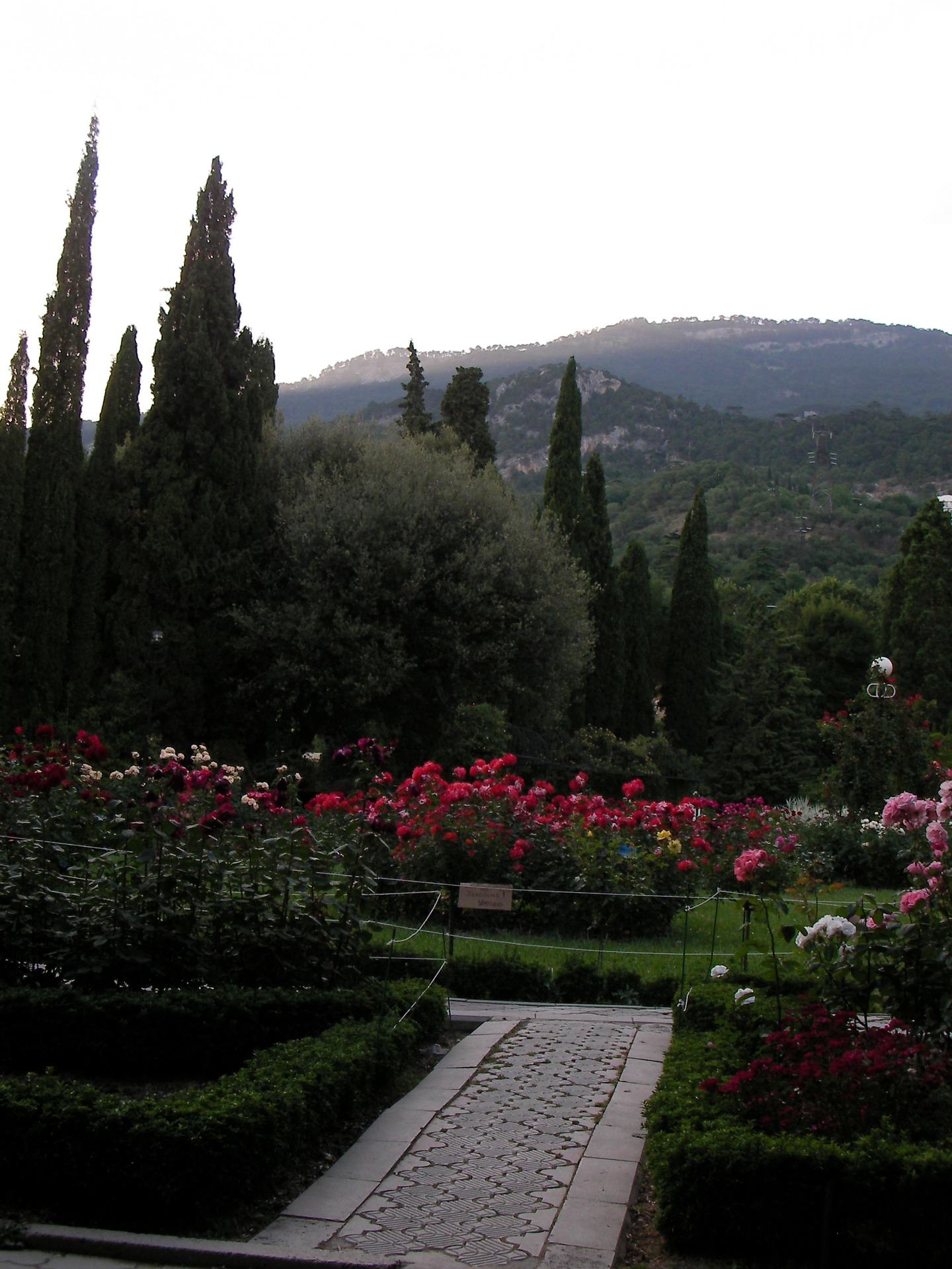 Rose Garden dan pegunungan