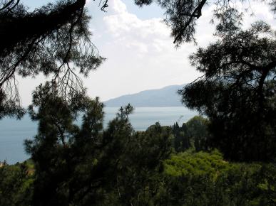 Sea and mountains under the sky through pine branches