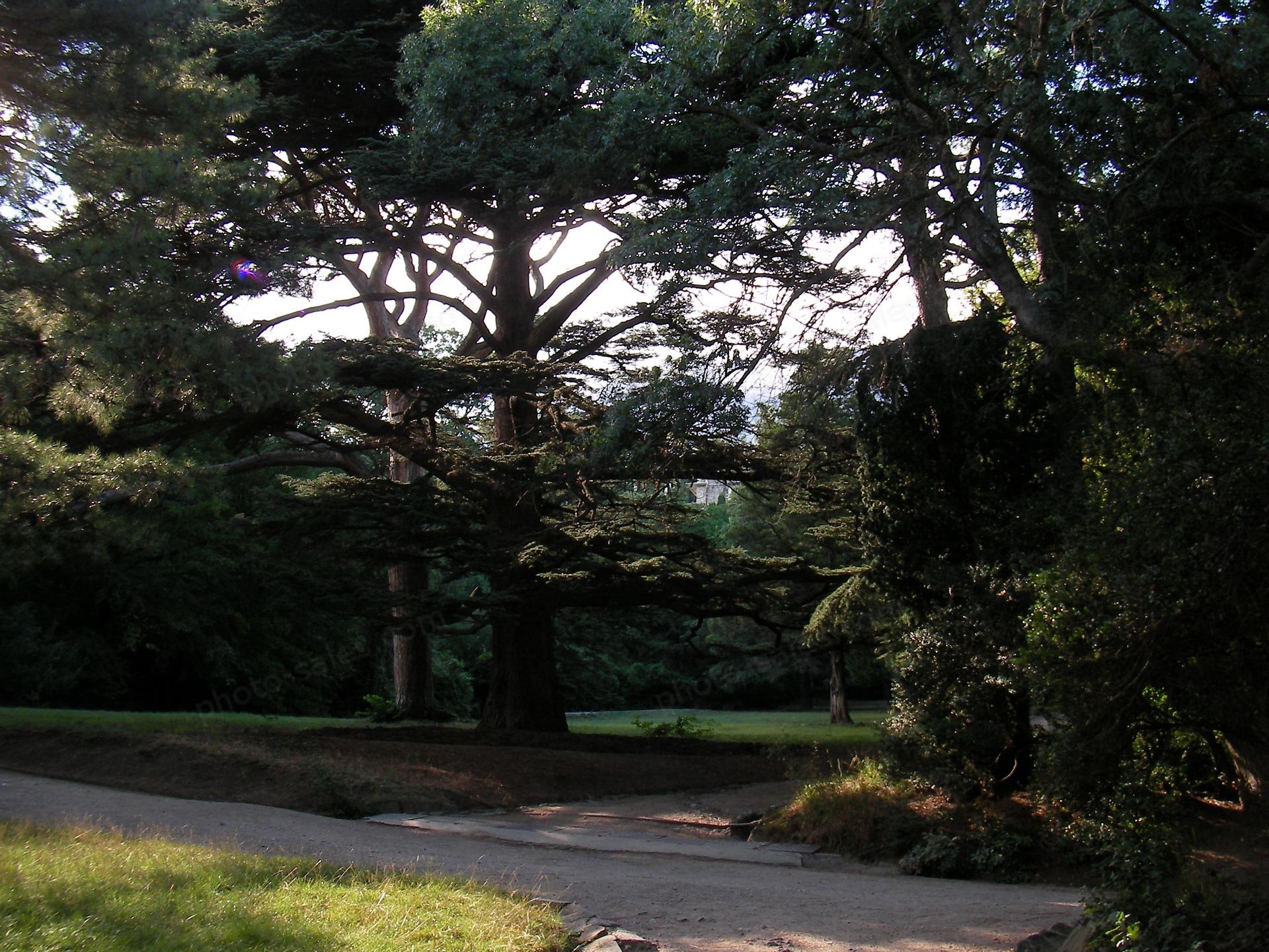 Vorontsov park i Alupka, Krim